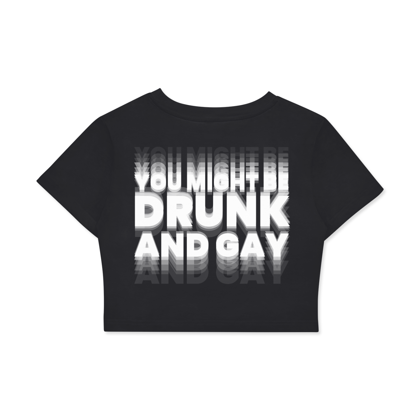 YOU MIGHT BE DRUNK AND GAY Crop Tee ~ GAYSBIE
