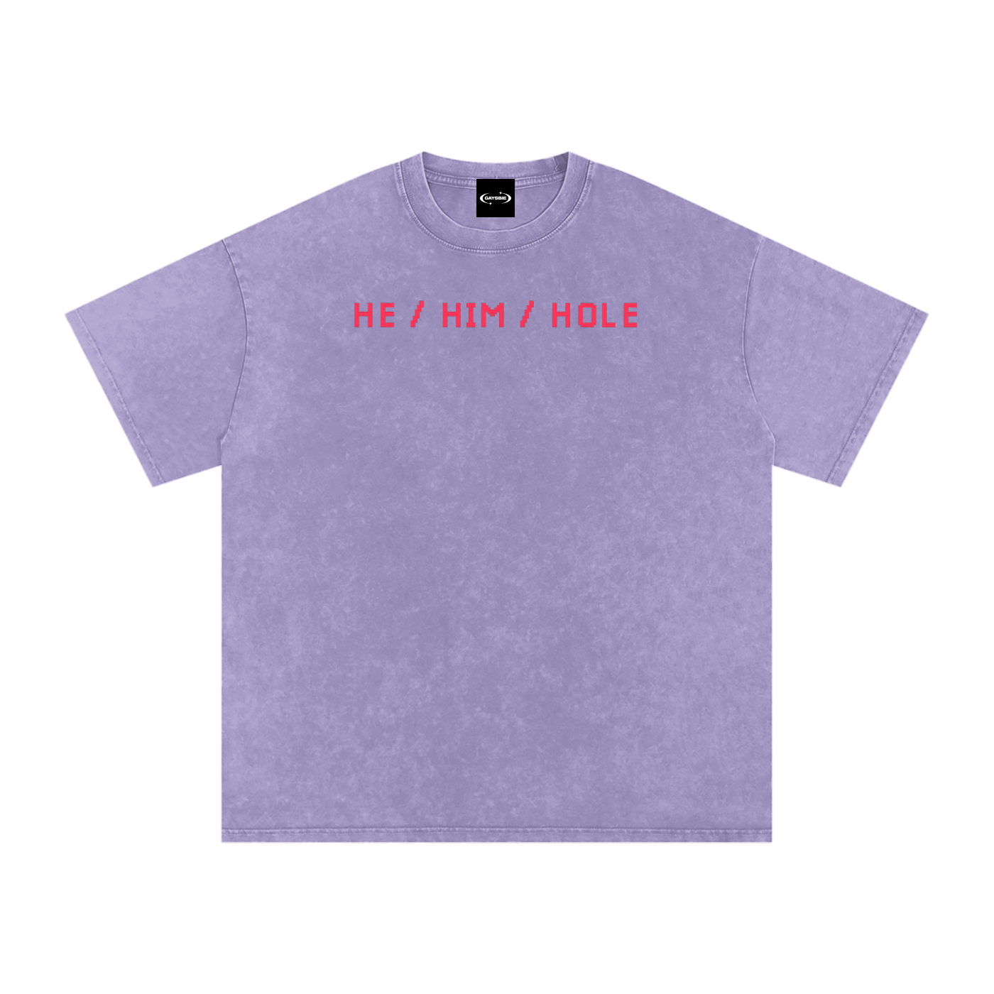 HE / HIM / HOLE Premium Oversized Tee ~ GAYSBIE
