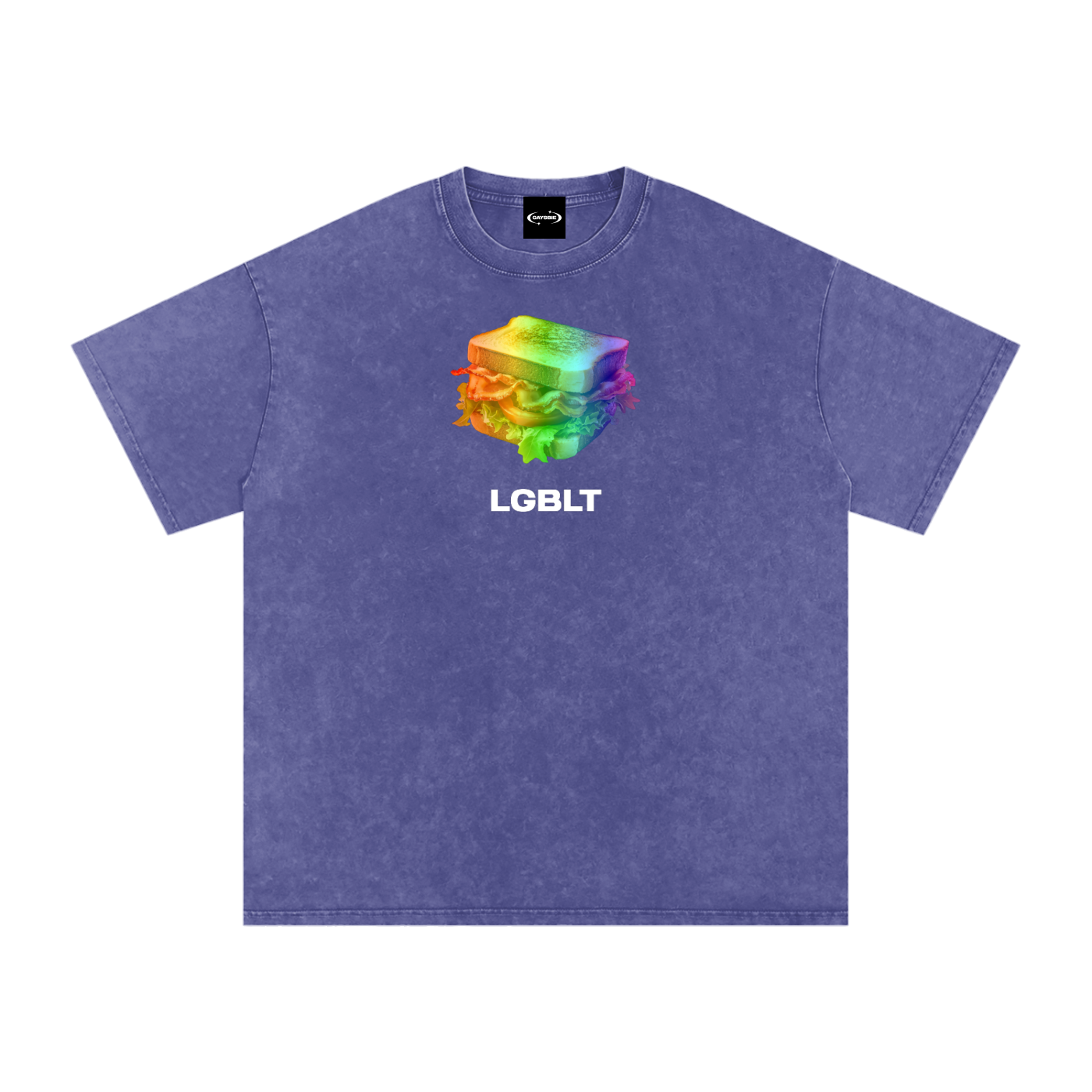 LGBLT Premium Oversized Tee ~ GAYSBIE