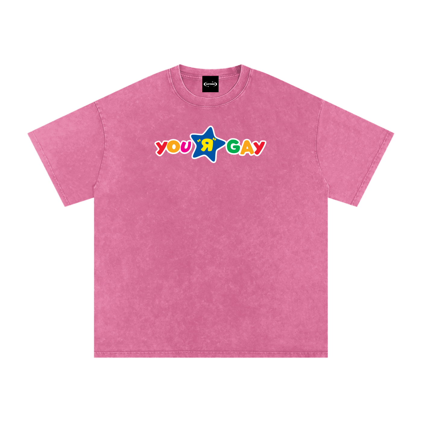 YOU R GAY Premium Oversized Tee ~ GAYSBIE