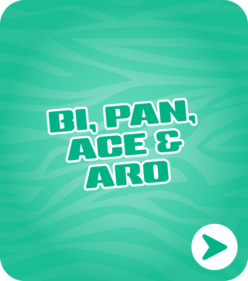BI, PAN, ACE & ARO