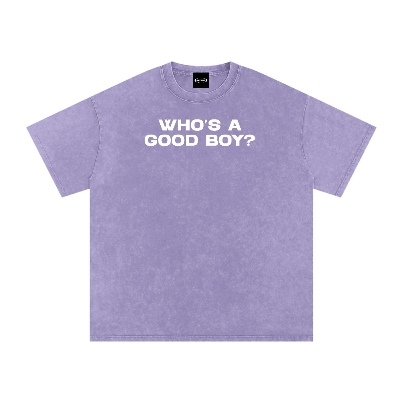 WHO'S A GOOD BOY Premium Oversized Tee ~ GAYSBIE