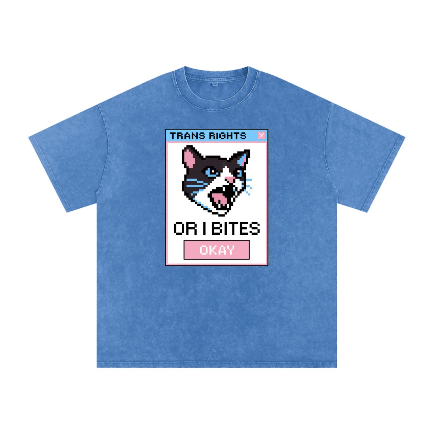 Trans Rights Premium Oversized Tee ~ GAYSBIE