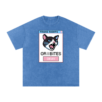 Trans Rights Premium Oversized Tee ~ GAYSBIE