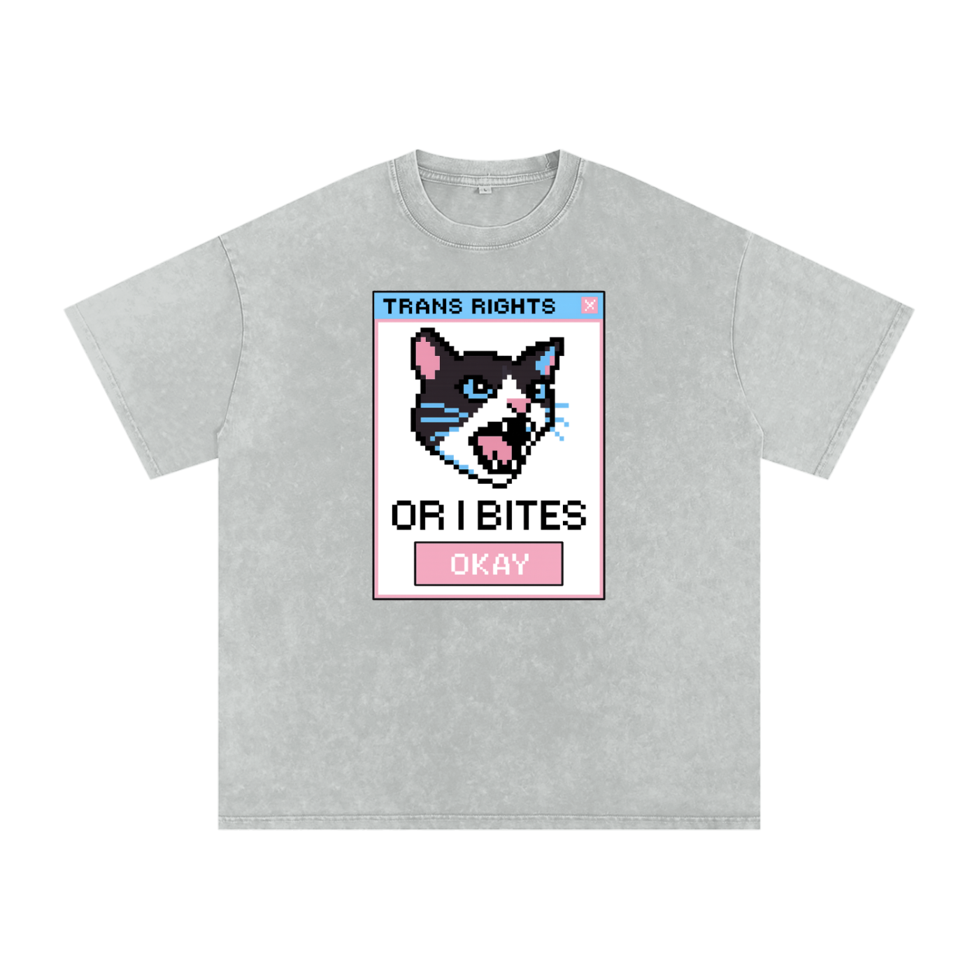 Trans Rights Premium Oversized Tee ~ GAYSBIE