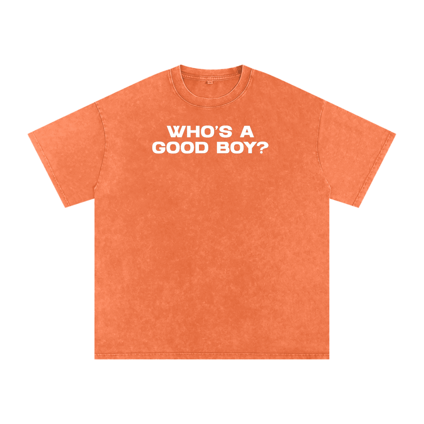 WHO'S A GOOD BOY Premium Oversized Tee ~ GAYSBIE