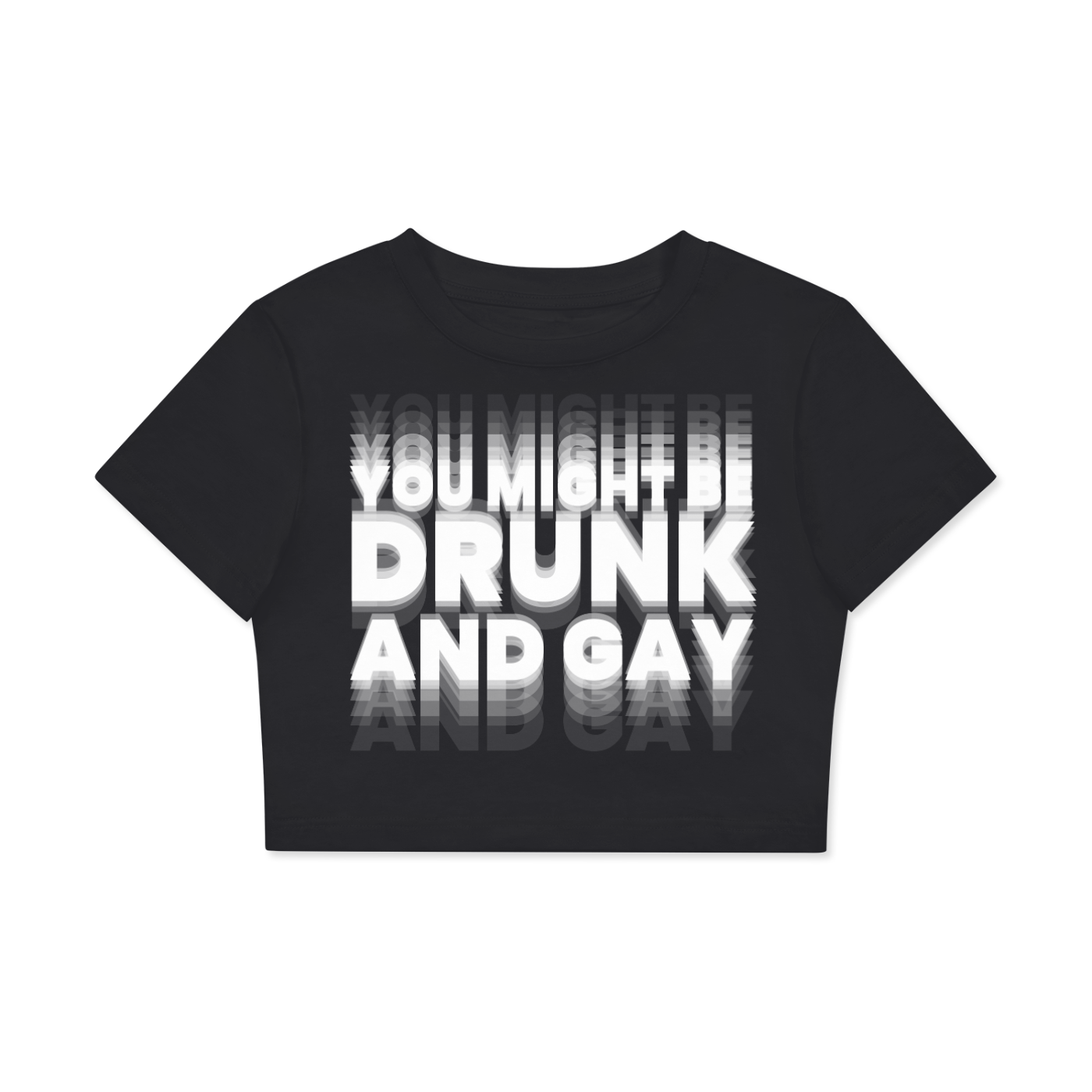 YOU MIGHT BE DRUNK AND GAY Crop Tee ~ GAYSBIE