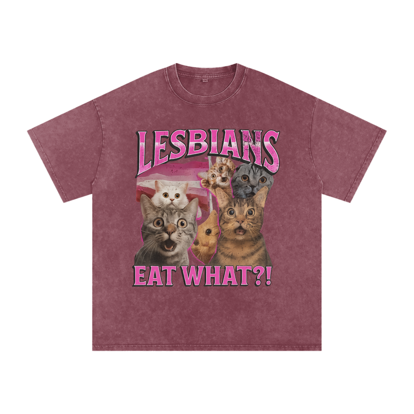 LESBIANS EAT WHAT? Premium Oversized Tee ~ GAYSBIE