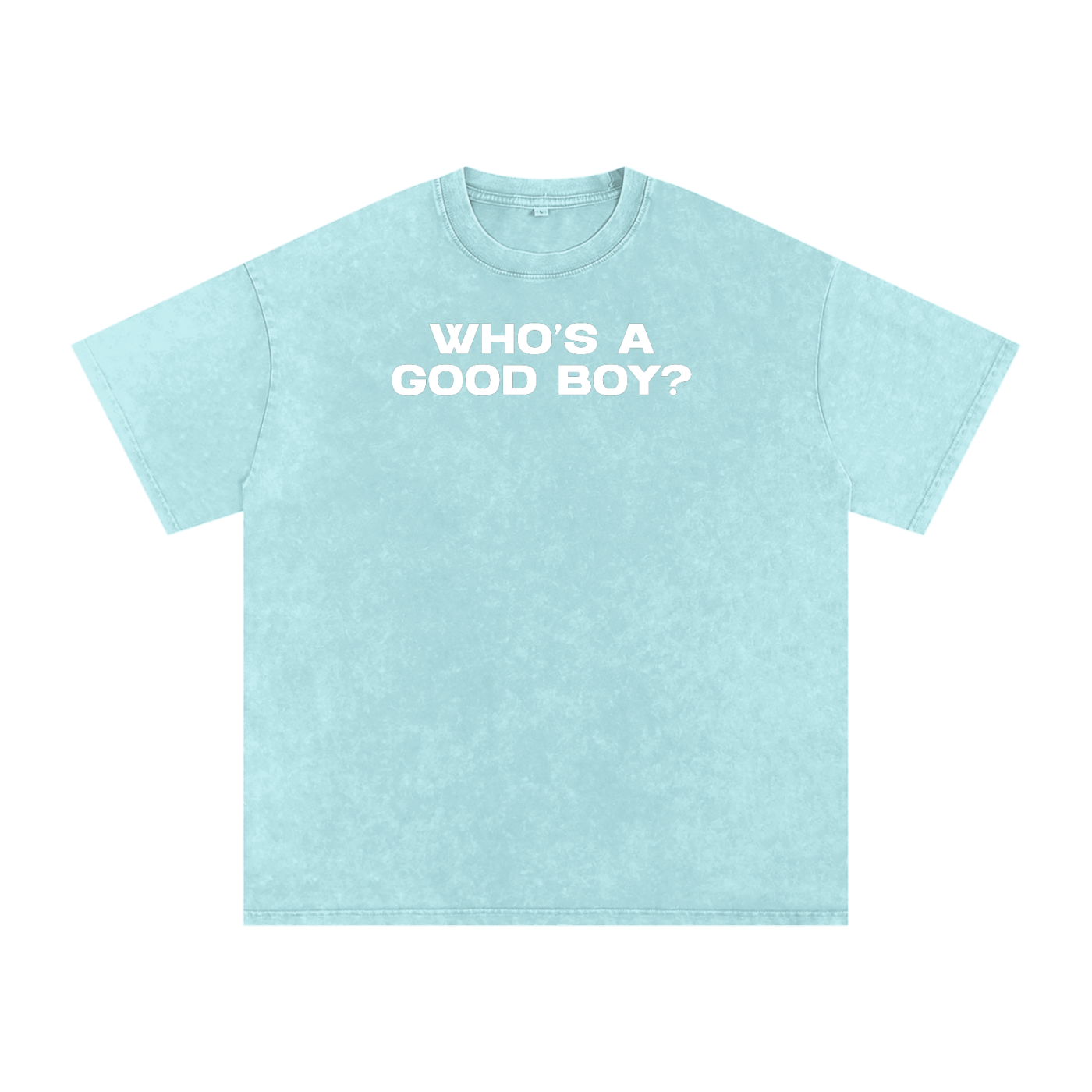 WHO'S A GOOD BOY Premium Oversized Tee ~ GAYSBIE