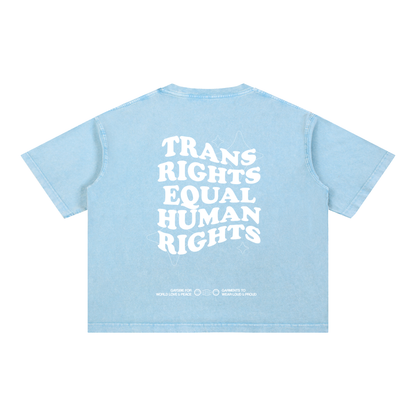 TRANS RIGHTS ARE HUMAN RIGHTS Tee ~ GAYSBIE