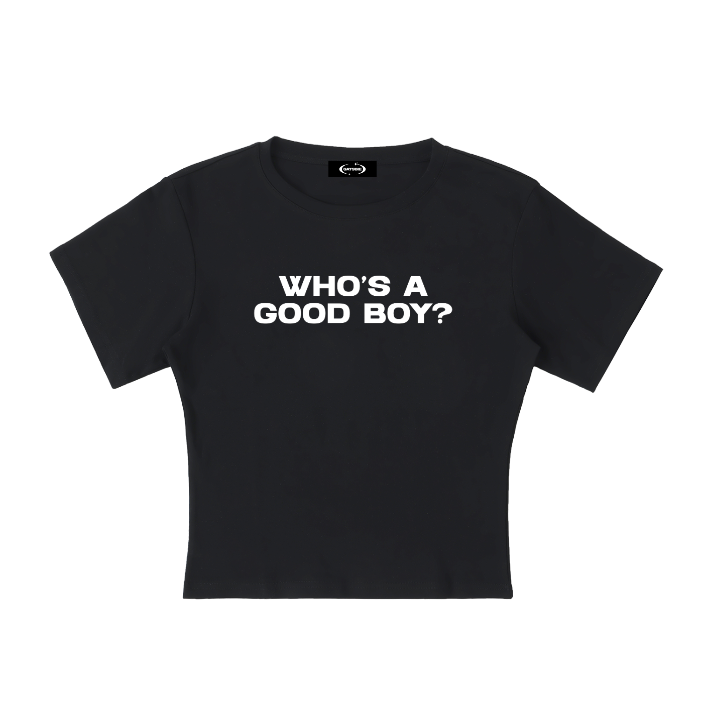 WHO'S A GOOD BOY? Baby Tee ~ GAYSBIE