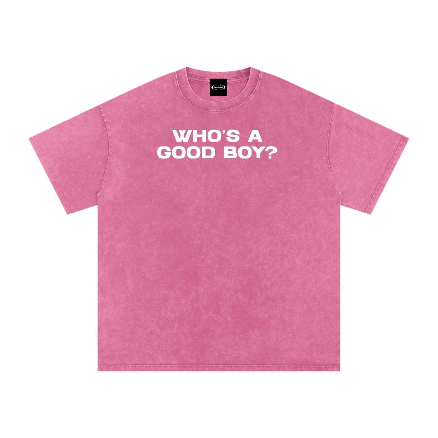 WHO'S A GOOD BOY Premium Oversized Tee ~ GAYSBIE