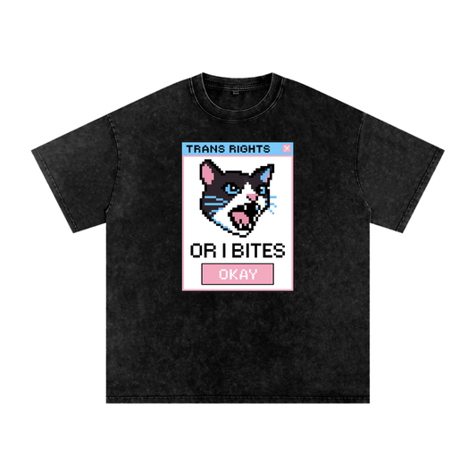 Trans Rights Premium Oversized Tee ~ GAYSBIE