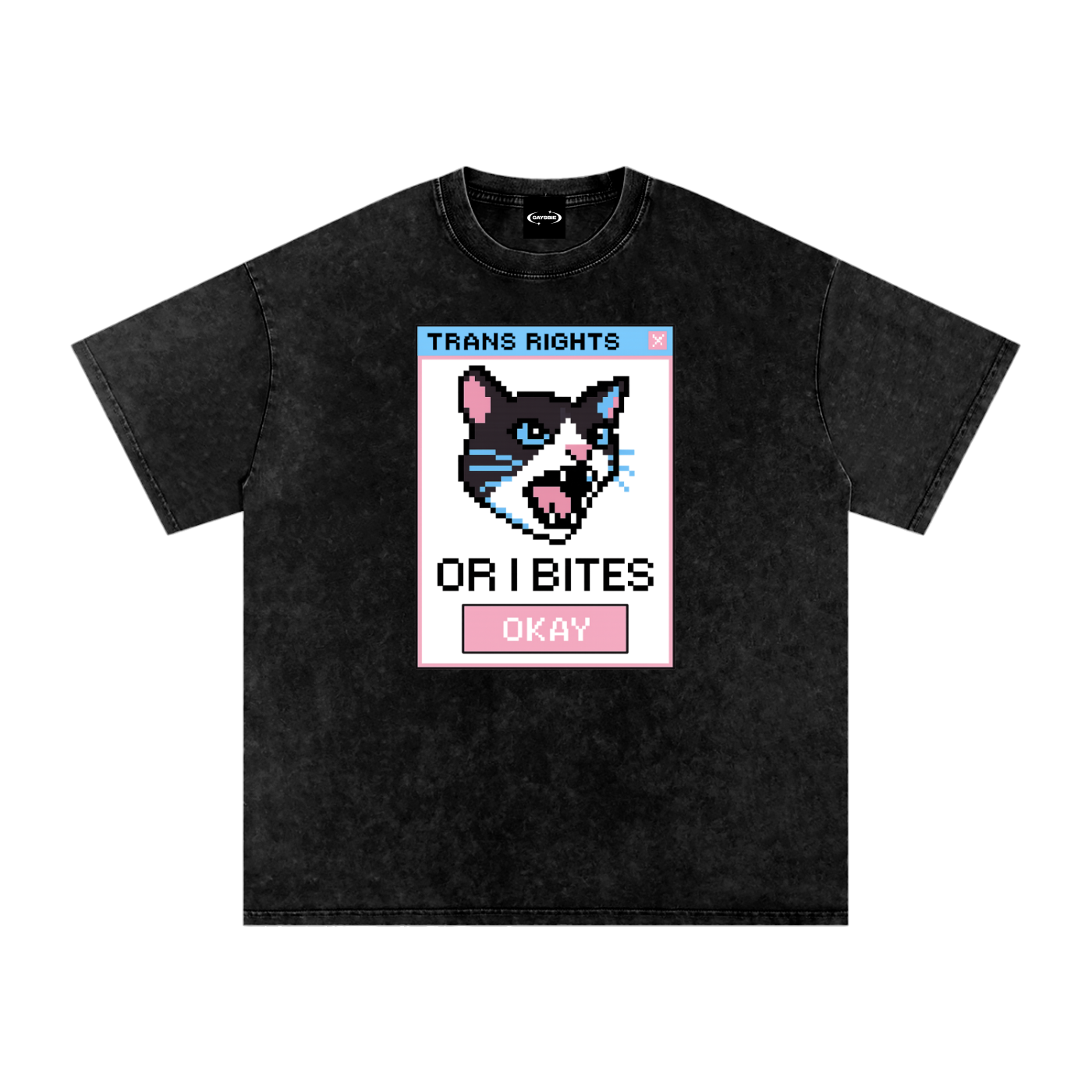 Trans Rights Premium Oversized Tee ~ GAYSBIE