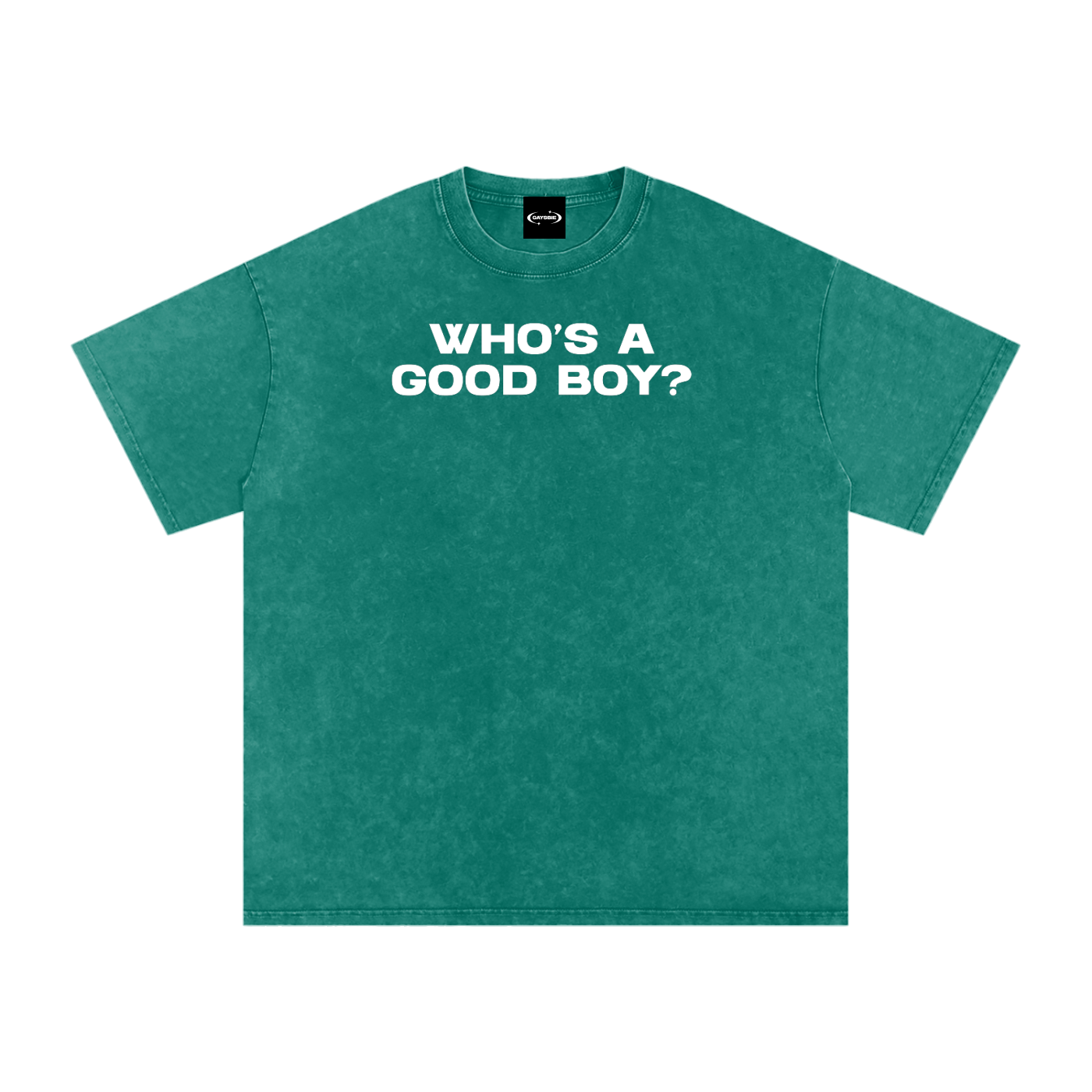 WHO'S A GOOD BOY Premium Oversized Tee ~ GAYSBIE