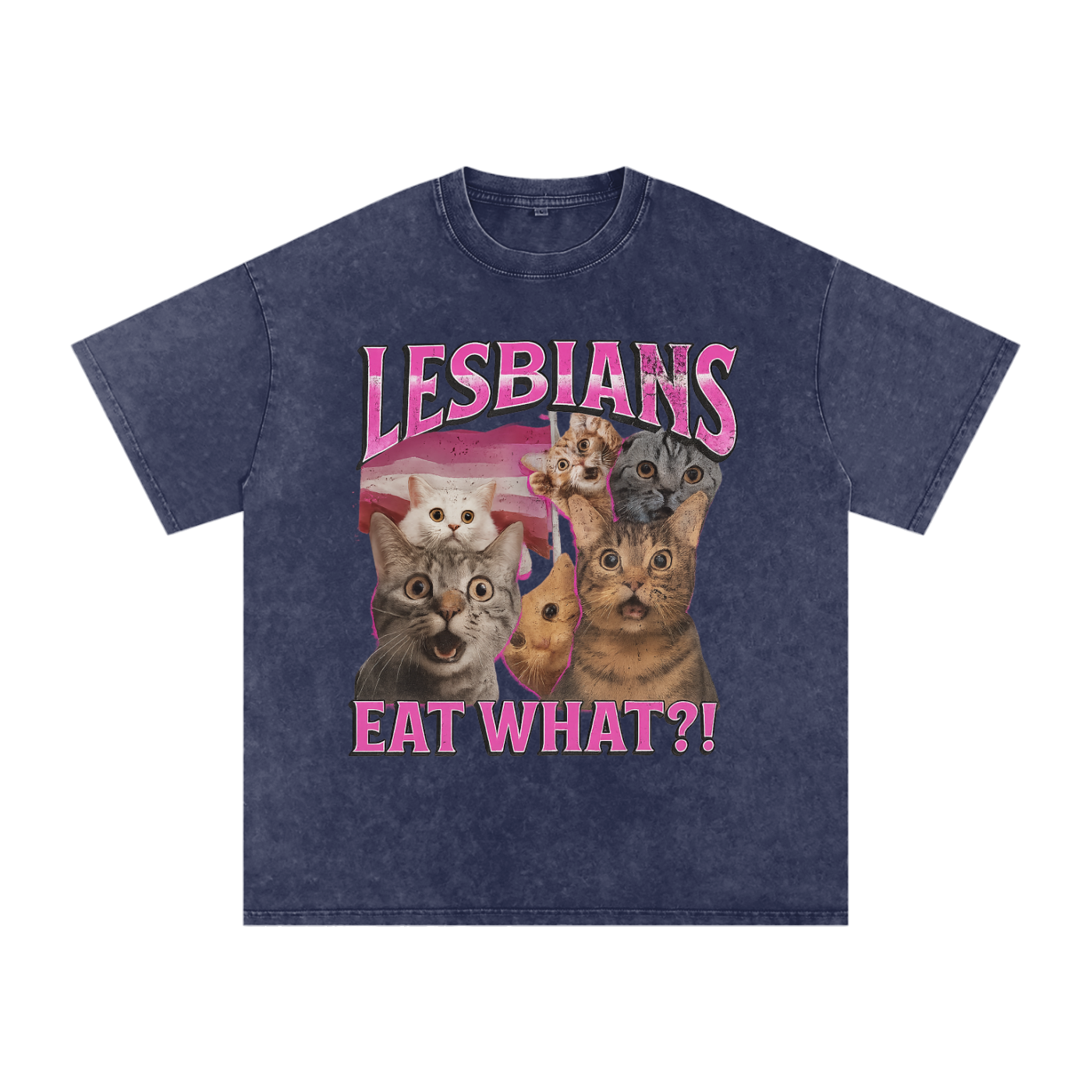 LESBIANS EAT WHAT? Premium Oversized Tee ~ GAYSBIE
