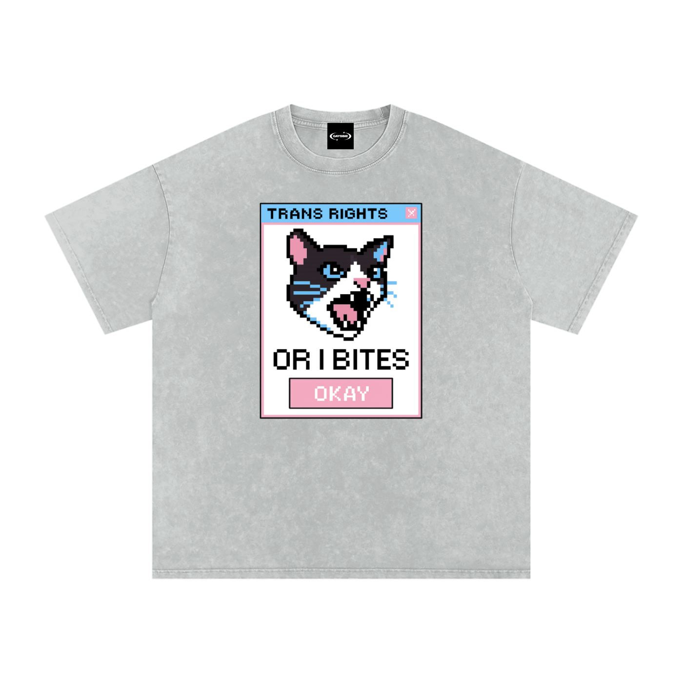 Trans Rights Premium Oversized Tee ~ GAYSBIE