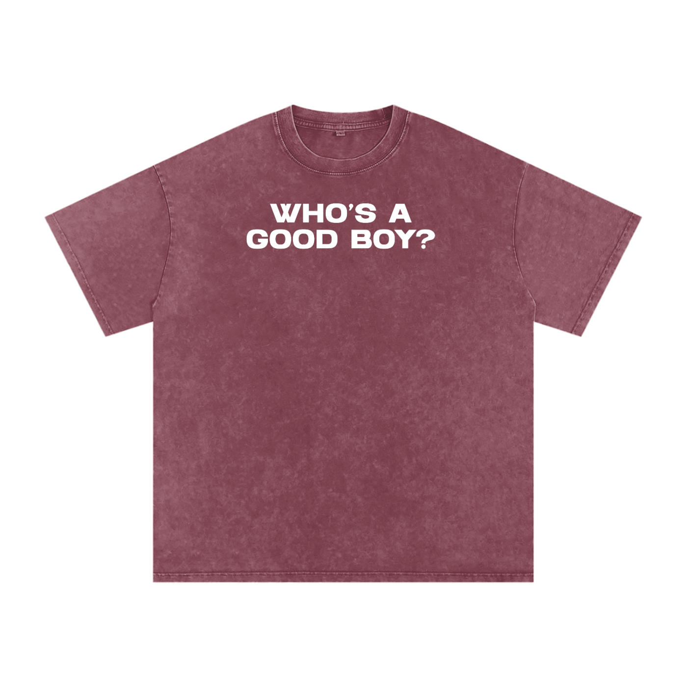 WHO'S A GOOD BOY Premium Oversized Tee ~ GAYSBIE