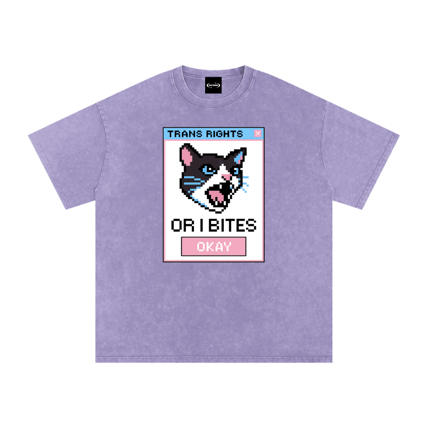Trans Rights Premium Oversized Tee ~ GAYSBIE