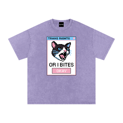 Trans Rights Premium Oversized Tee ~ GAYSBIE
