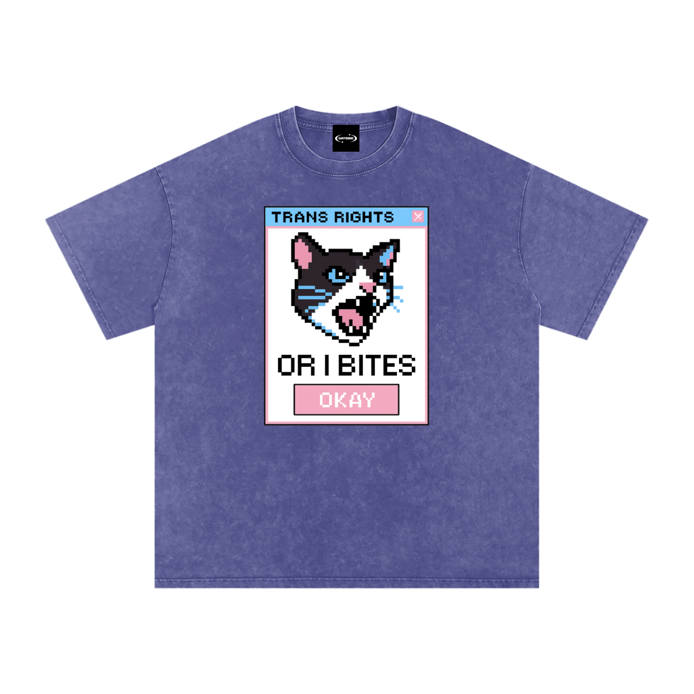 Trans Rights Premium Oversized Tee ~ GAYSBIE