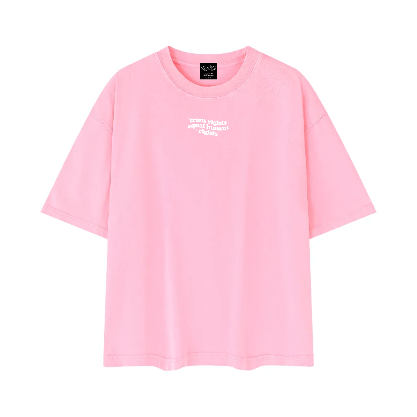 TRANS RIGHTS ARE HUMAN RIGHTS Tee ~ GAYSBIE