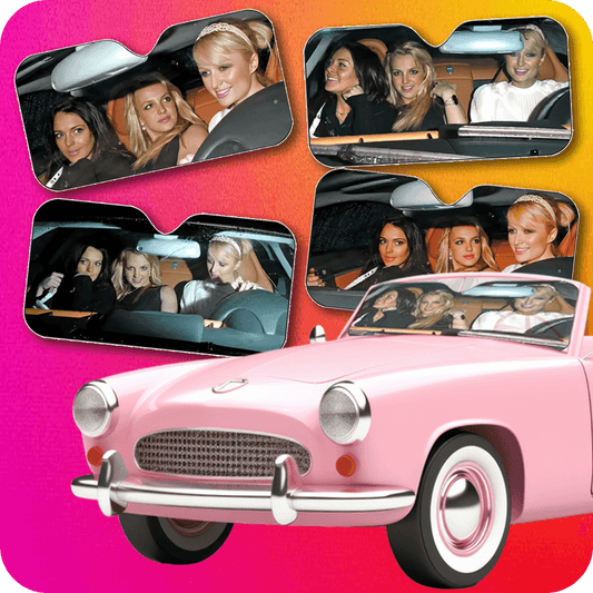 Paris Hilton Car Sunscreen