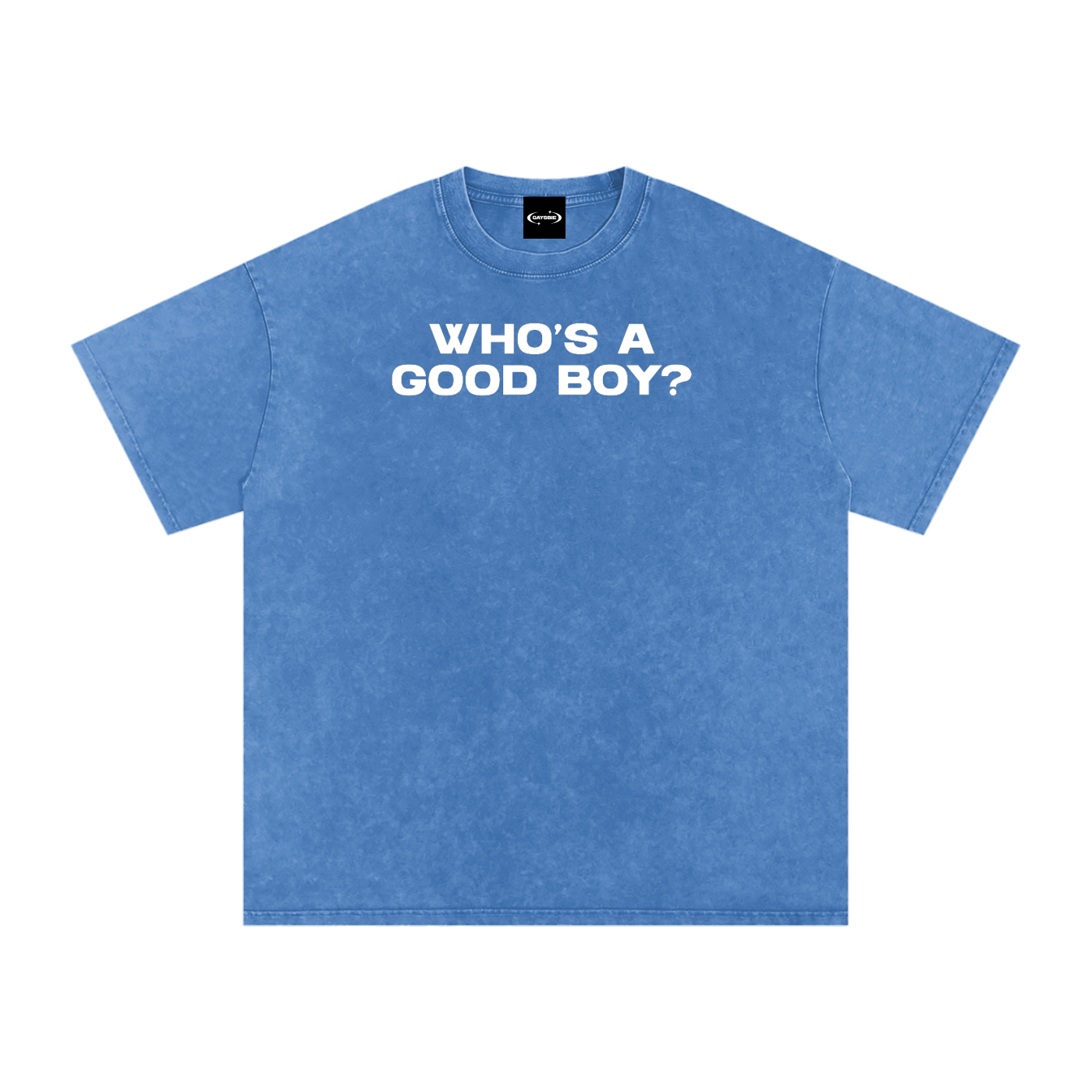 WHO'S A GOOD BOY Premium Oversized Tee ~ GAYSBIE