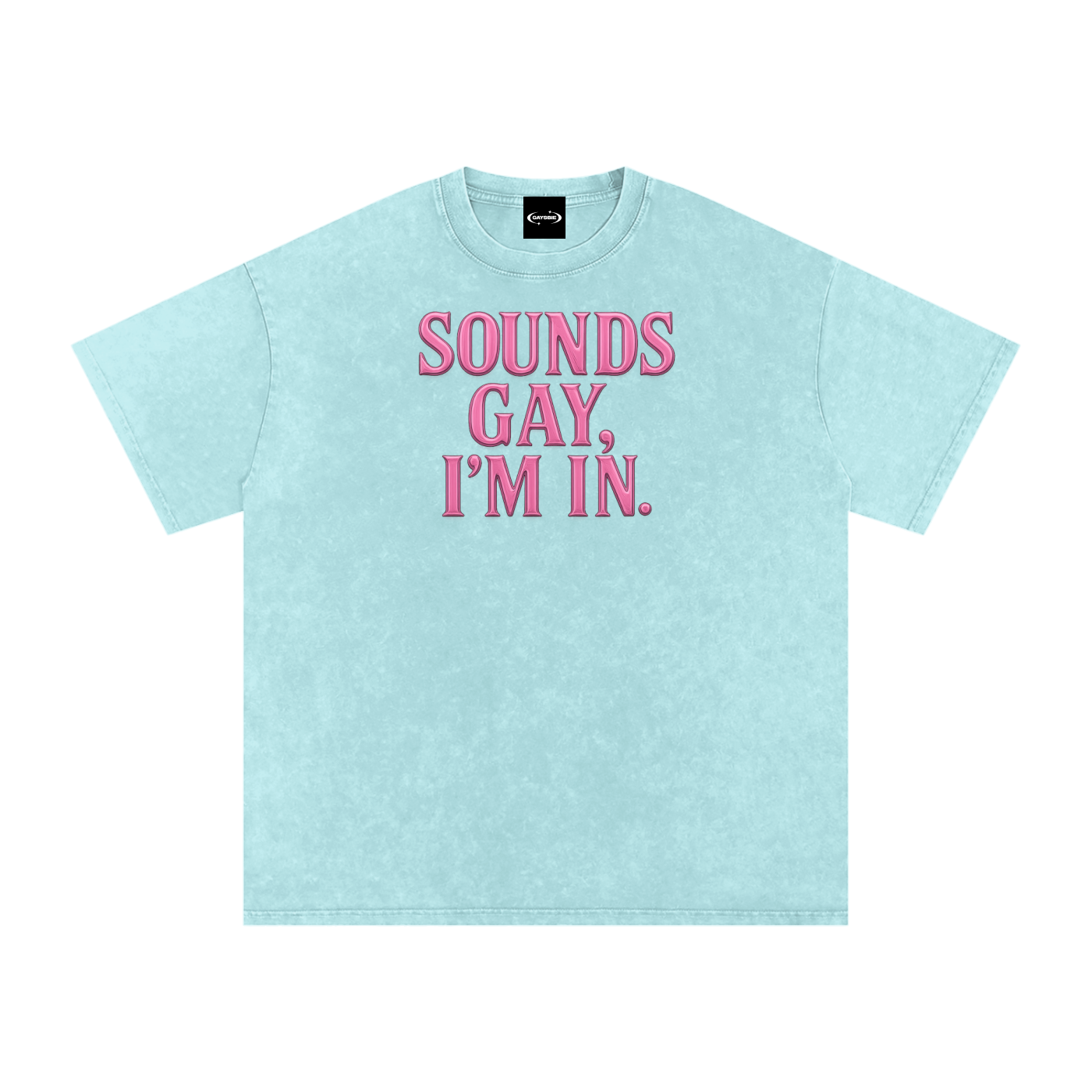 SOUND'S GOOD I'M IN Premium Oversized Tee ~ GAYSBIE