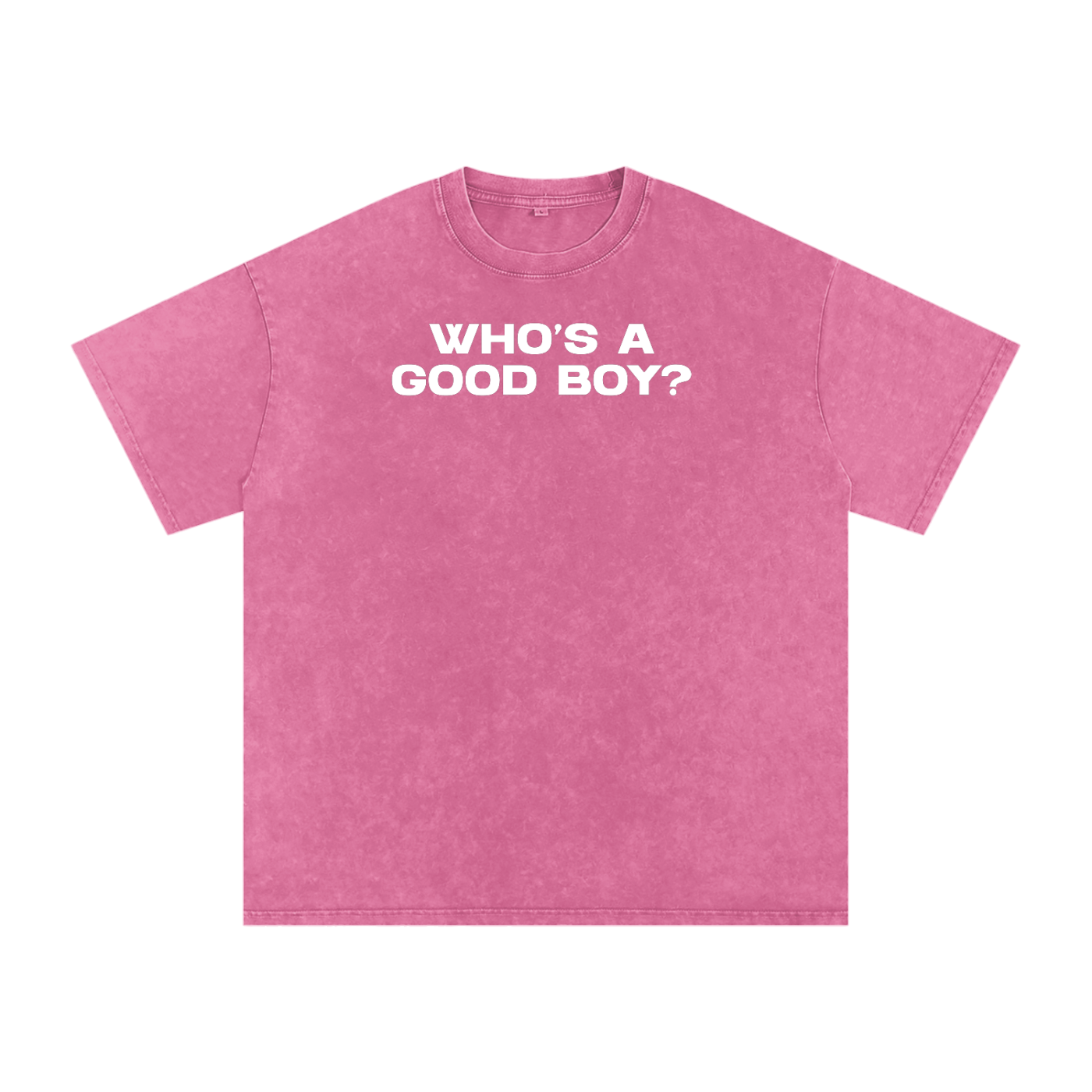 WHO'S A GOOD BOY Premium Oversized Tee ~ GAYSBIE