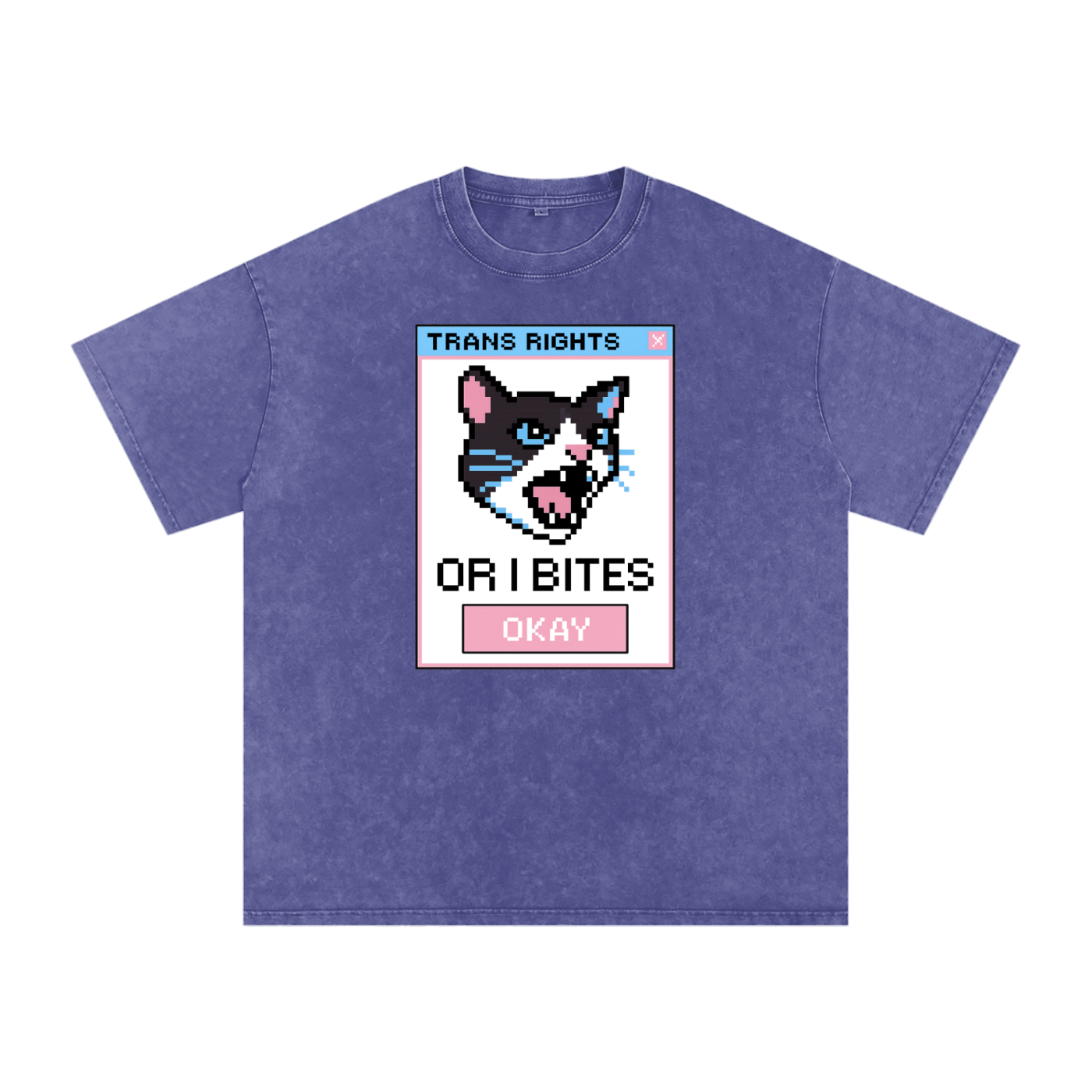 Trans Rights Premium Oversized Tee ~ GAYSBIE