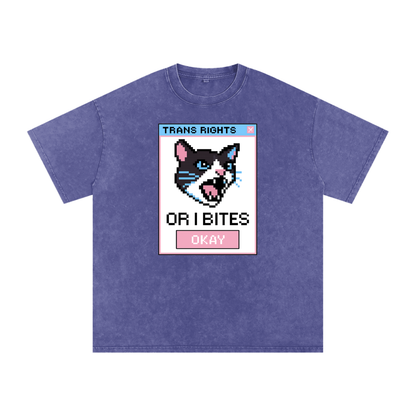 Trans Rights Premium Oversized Tee ~ GAYSBIE
