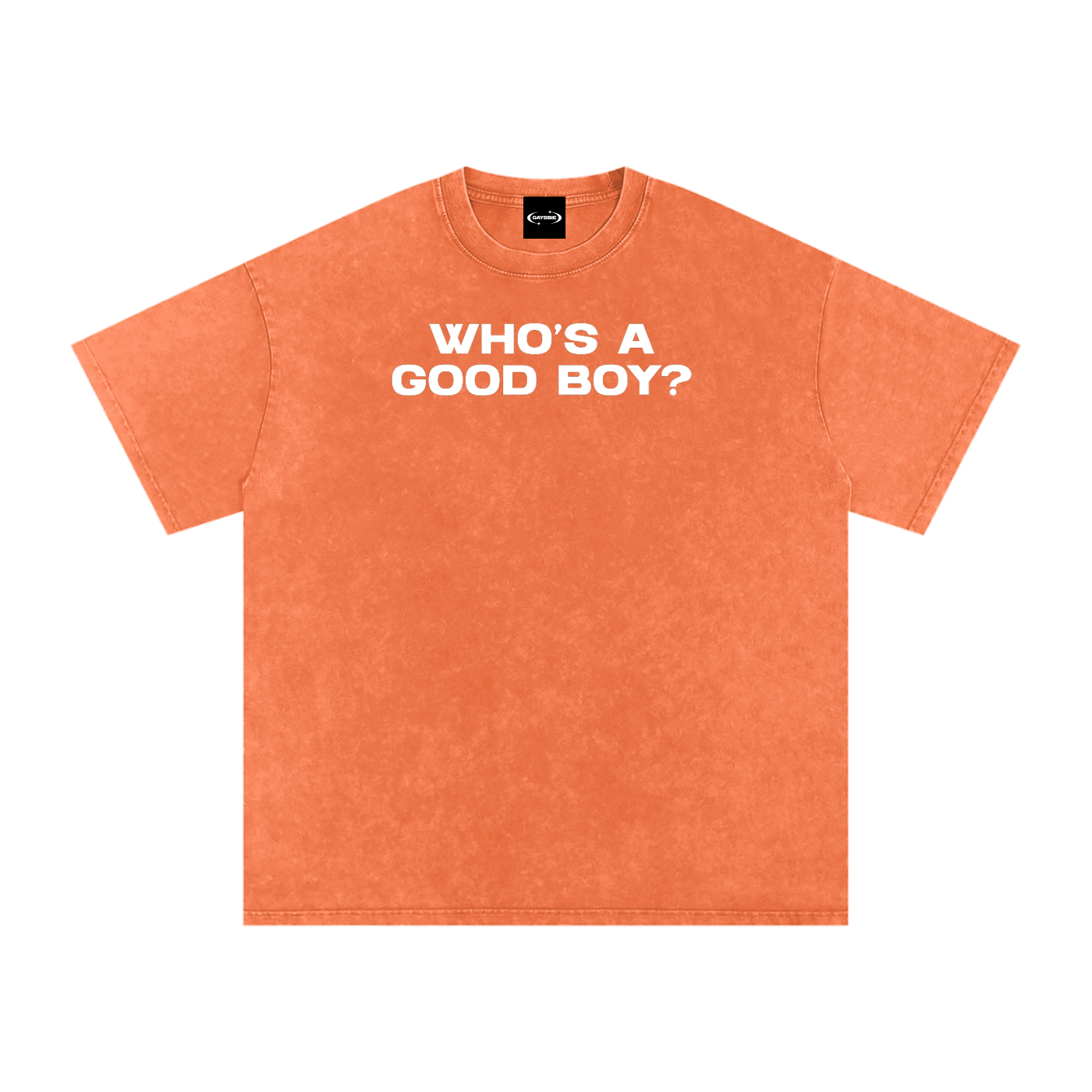 WHO'S A GOOD BOY Premium Oversized Tee ~ GAYSBIE