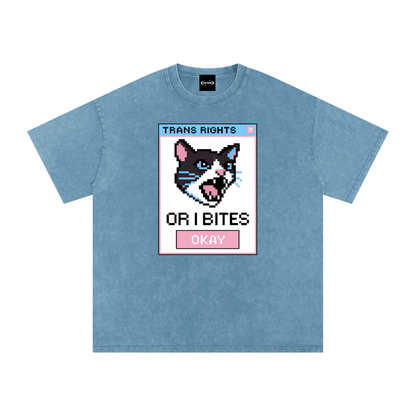 Trans Rights Premium Oversized Tee ~ GAYSBIE