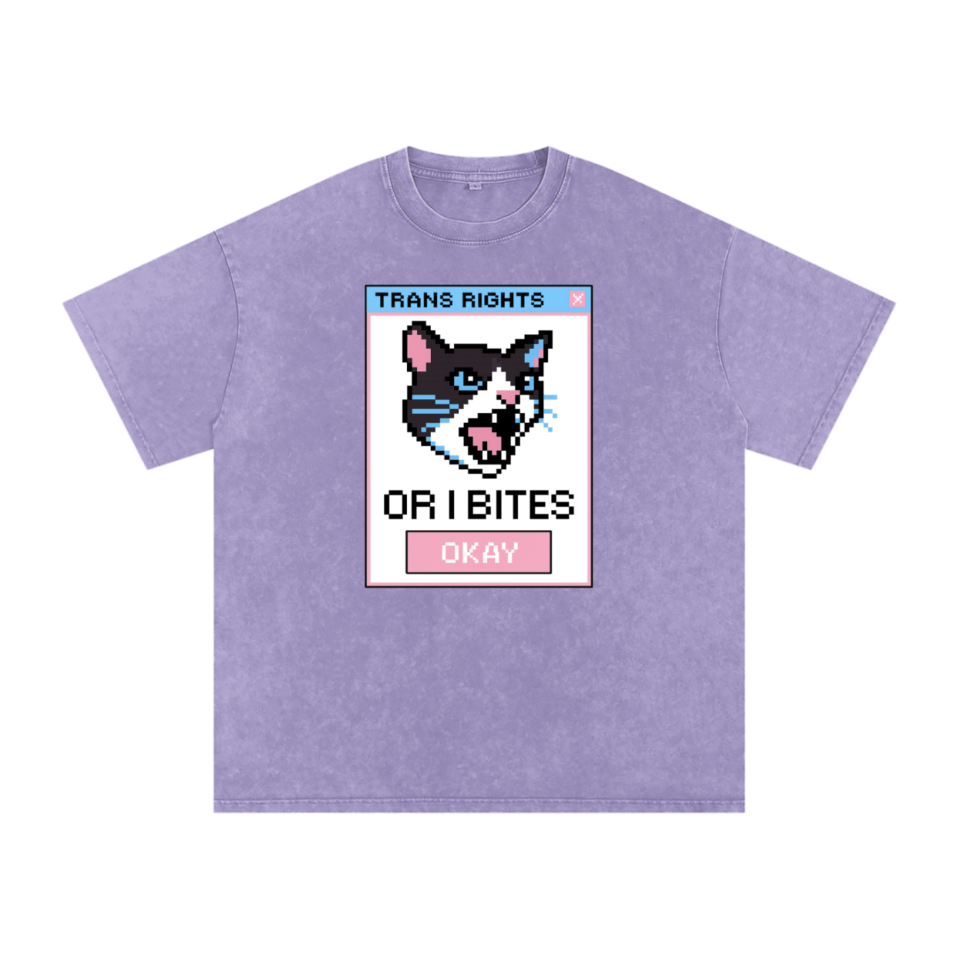 Trans Rights Premium Oversized Tee ~ GAYSBIE