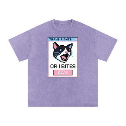 Trans Rights Premium Oversized Tee ~ GAYSBIE