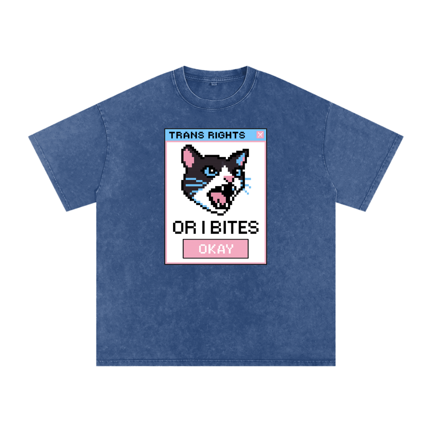 Trans Rights Premium Oversized Tee ~ GAYSBIE