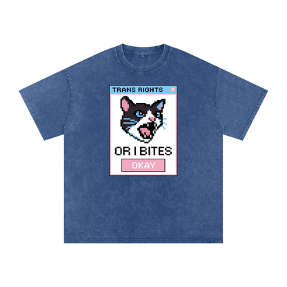 Trans Rights Premium Oversized Tee ~ GAYSBIE