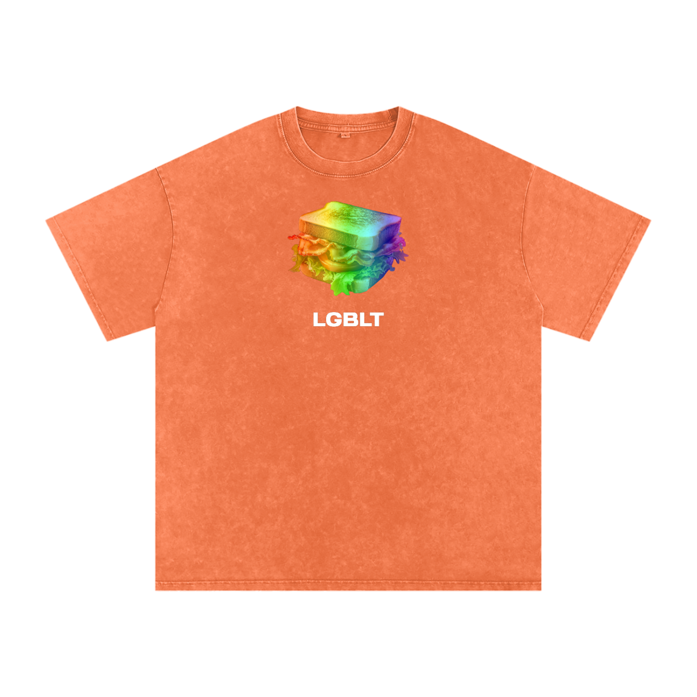 LGBLT Premium Oversized Tee ~ GAYSBIE