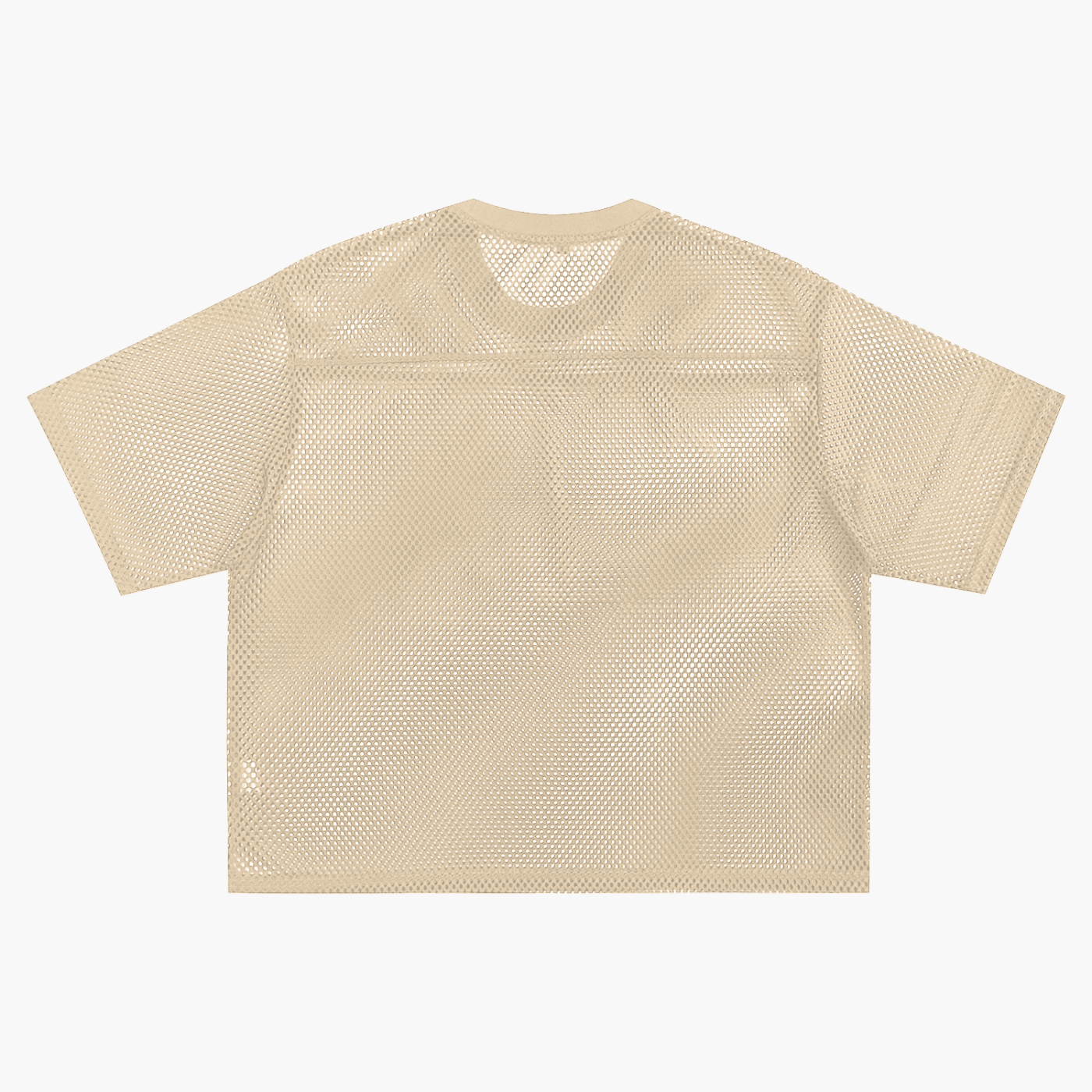 PARTY Boxy Mesh Tee ~ GAYBSIE