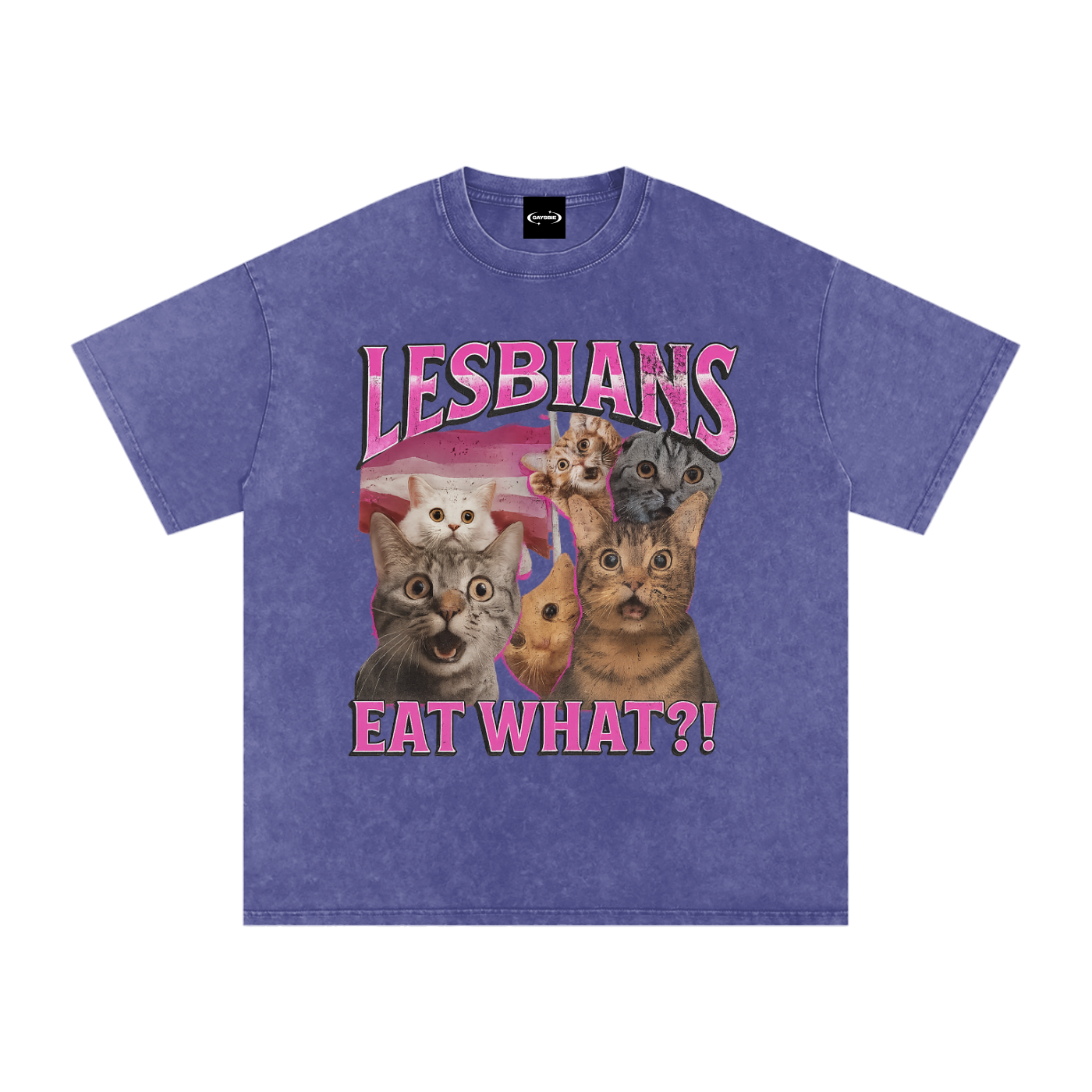 LESBIANS EAT WHAT? Premium Oversized Tee ~ GAYSBIE