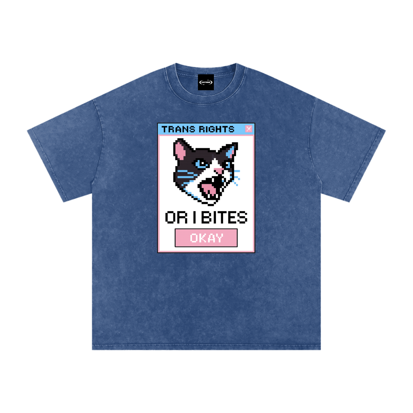 Trans Rights Premium Oversized Tee ~ GAYSBIE