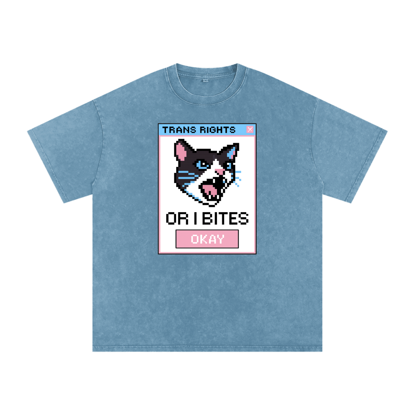 Trans Rights Premium Oversized Tee ~ GAYSBIE
