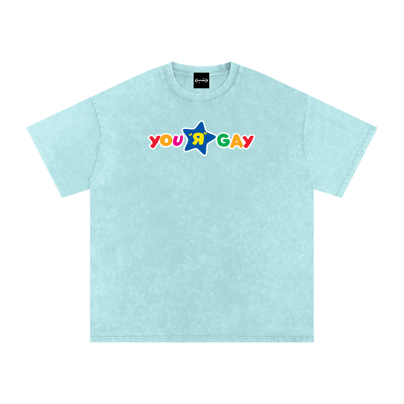 YOU R GAY Premium Oversized Tee ~ GAYSBIE
