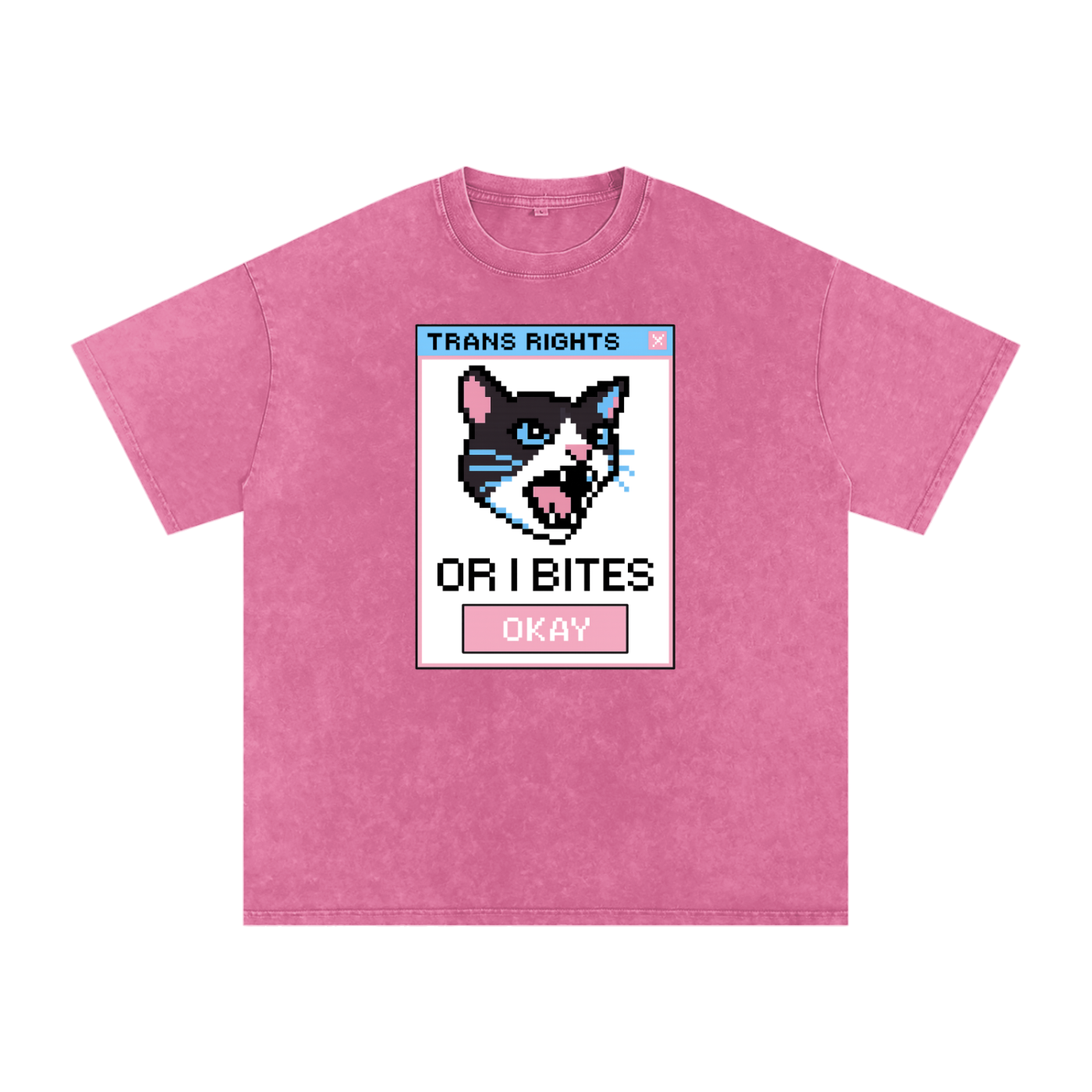 Trans Rights Premium Oversized Tee ~ GAYSBIE