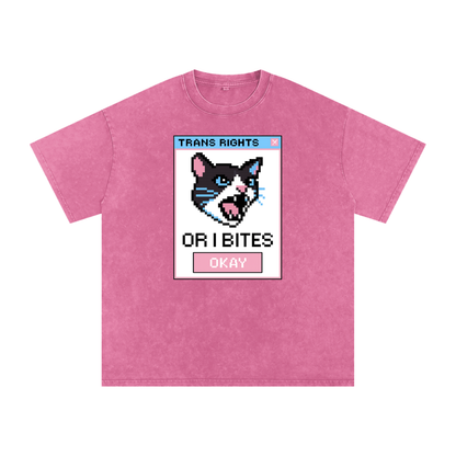 Trans Rights Premium Oversized Tee ~ GAYSBIE