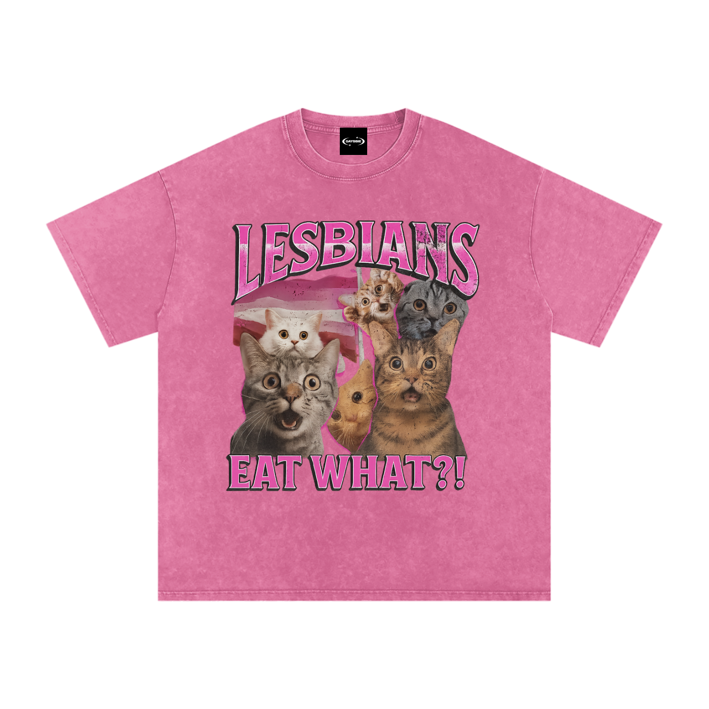 Oversize Tee BUBBLEGUM / S LESBIANS EAT WHAT? Premium Oversized Tee ~ GAYSBIE PREMIUM MATERIALS