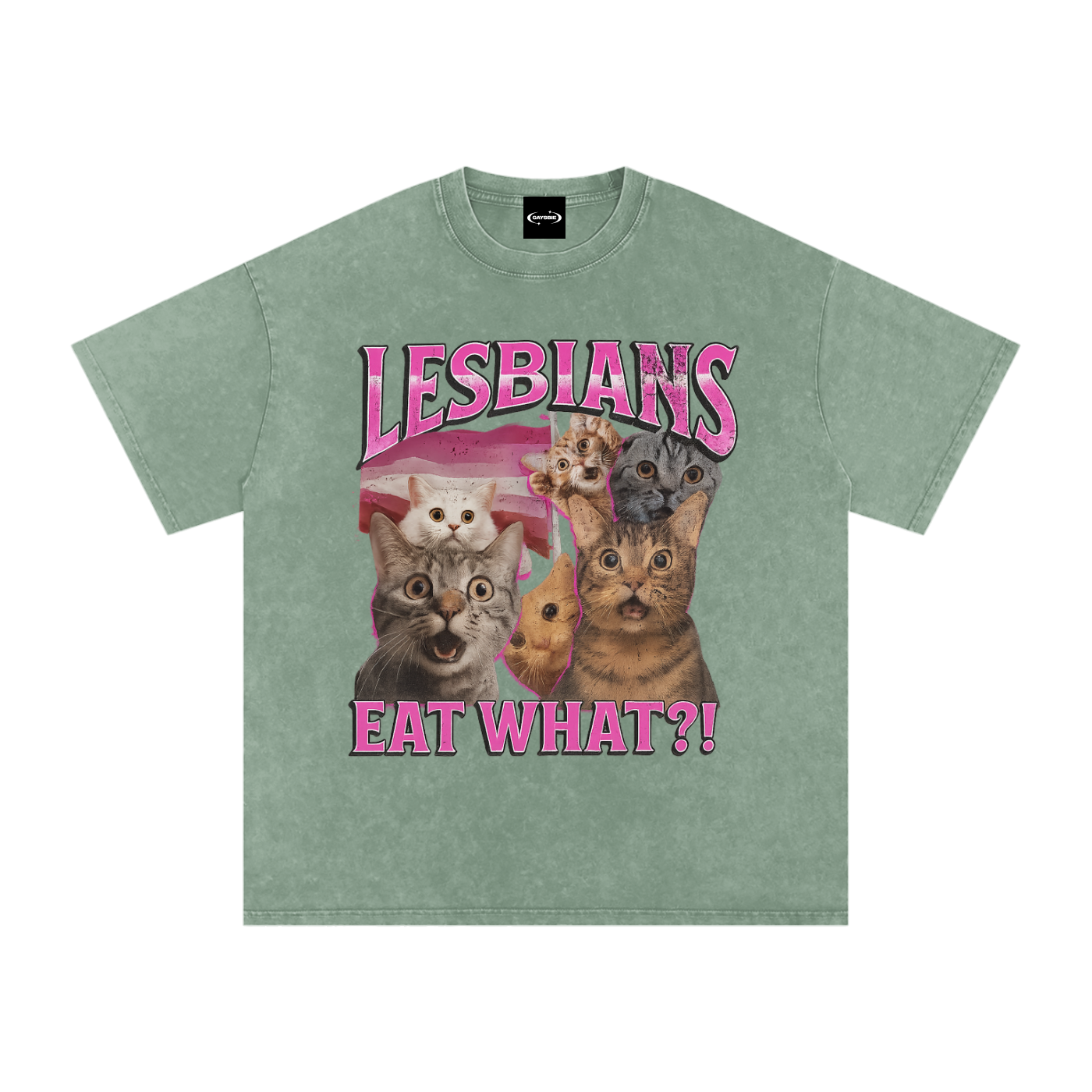 Oversize Tee MINT / S LESBIANS EAT WHAT? Premium Oversized Tee ~ GAYSBIE PREMIUM MATERIALS