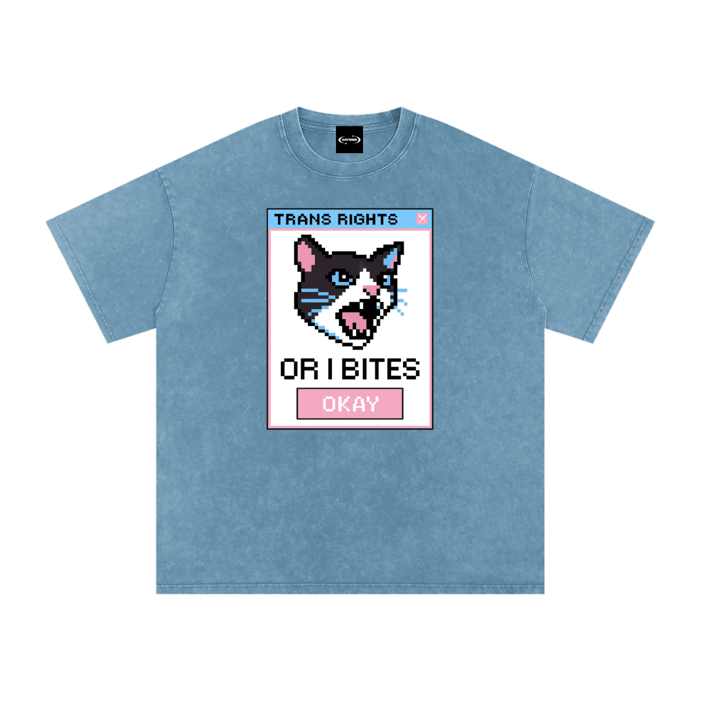 Oversize Tee SKY / S Trans Rights Cat Premium Oversized Tee ~ GAYSBIE PREMIUM MATERIALS