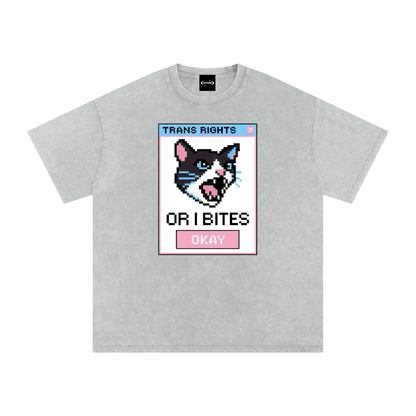 Oversize Tee SMOKE / S Trans Rights Cat Premium Oversized Tee ~ GAYSBIE PREMIUM MATERIALS